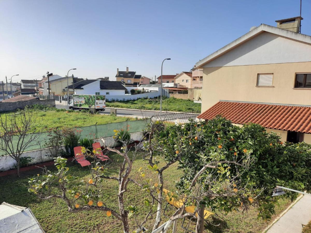 فيلا Casa D'Avo - Cascais-Estoril ساو دومينغوس دي رانا المظهر الخارجي الصورة